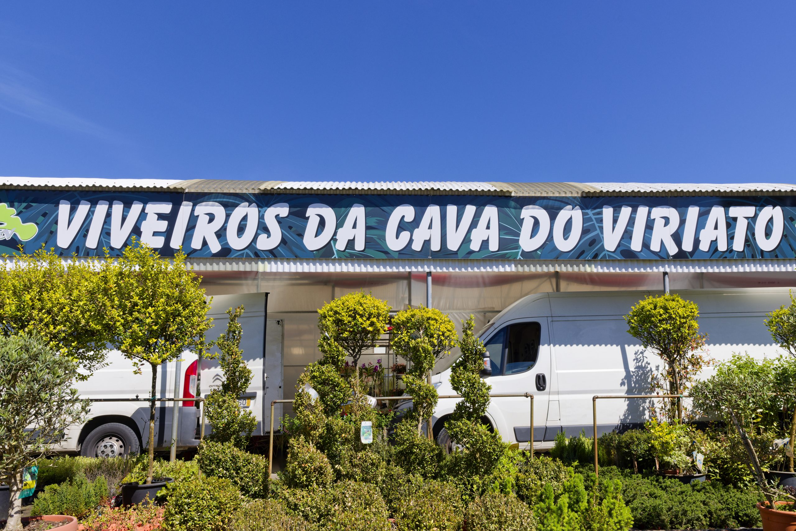 Preços Especiais para Profissionais