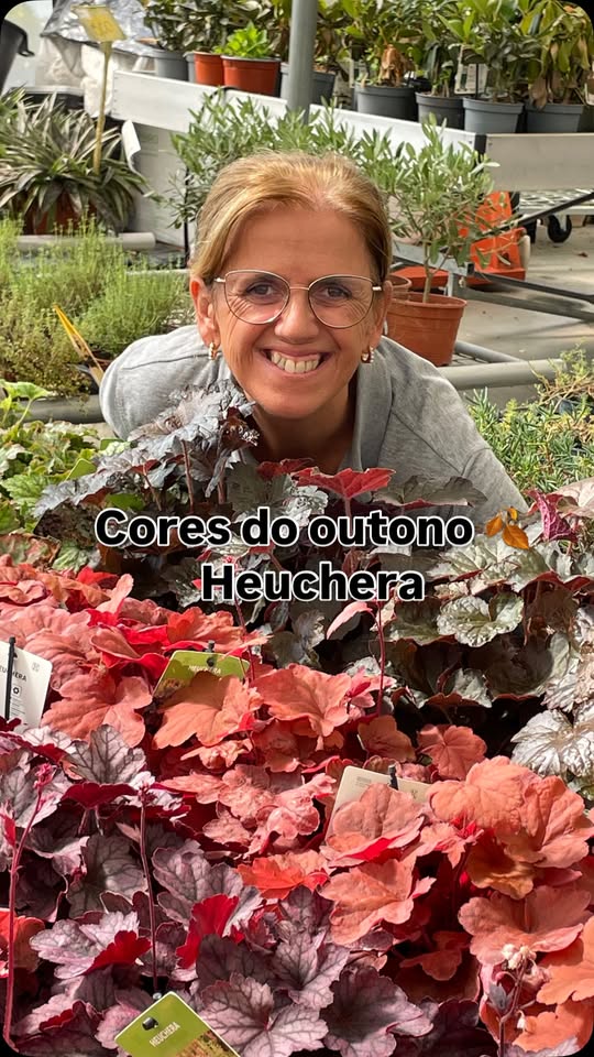 Cores do Outono Heuchera